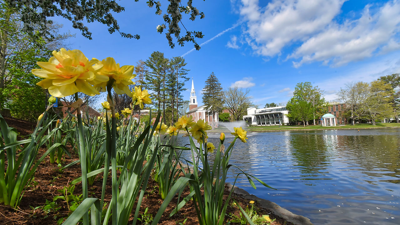 View flowers and Cole Memorial Chapel across Peacock Pond.